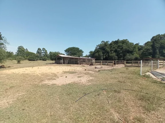 Imagem EXCELENTE!!! Sítio com 9Ha., Casa, Galpão animais, Piscina, em Águas Claras