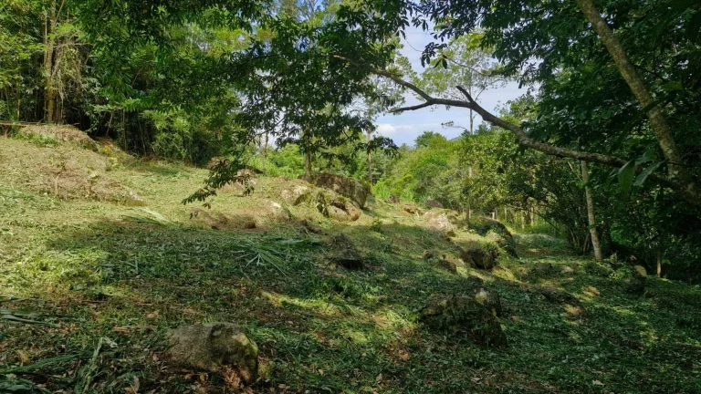 Imagem Oportunidade Única: Terreno à Venda no Bairro Macacu em Garopaba/SC! 1.639,00 m² de área. Confira já!