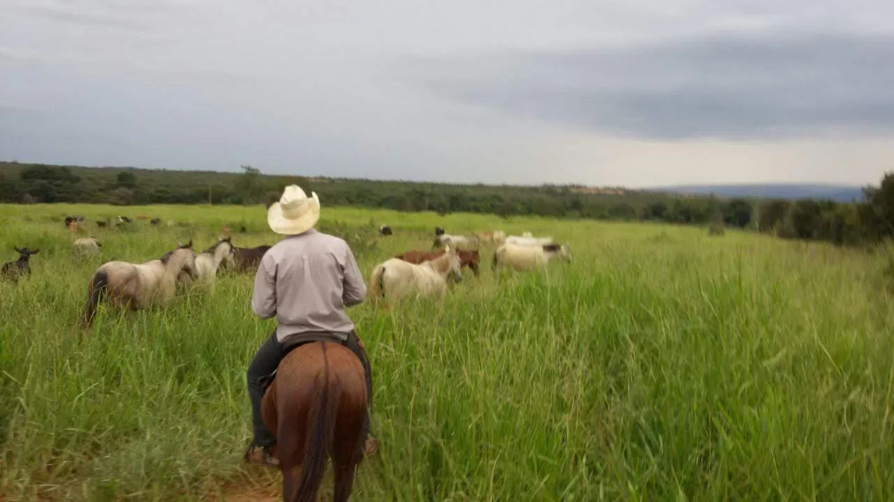Imagem Oportunidade Imperdível: Fazenda de 1.272 Hectares em Augusto de Lima