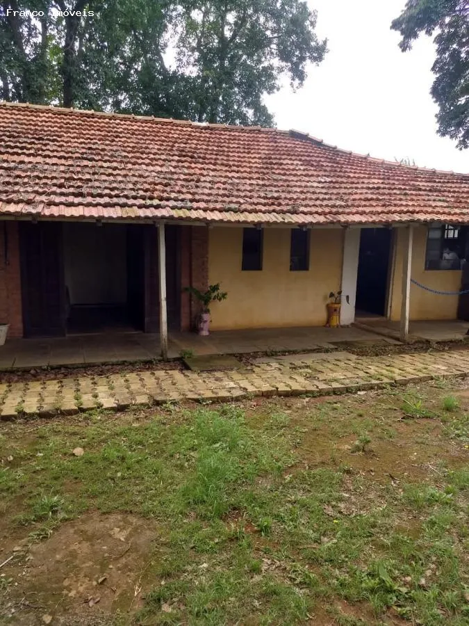 Imagem Sítio para Venda em Suzano, Ipelândia