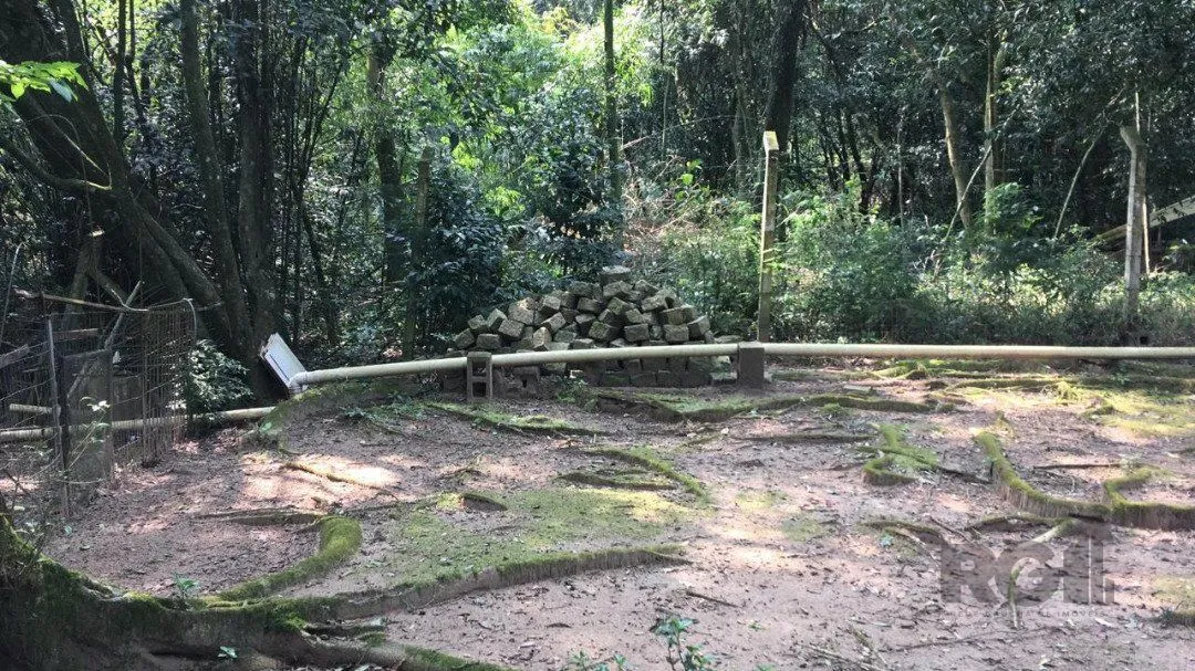 Imagem Terreno no Bairro Vila Nova.
