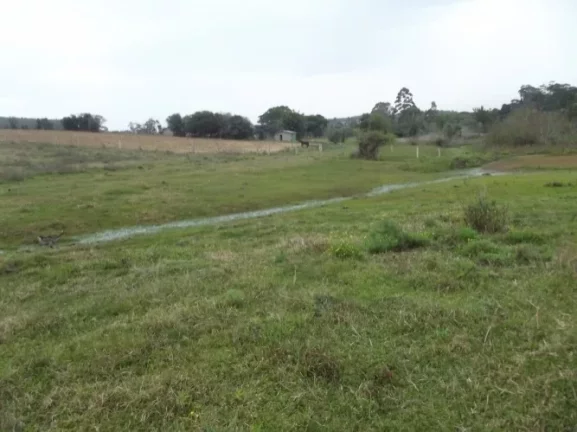 Imagem Sitio Rural com 10.8 hectares, Aguadas, Costa do Oveiro, Viamão/RS