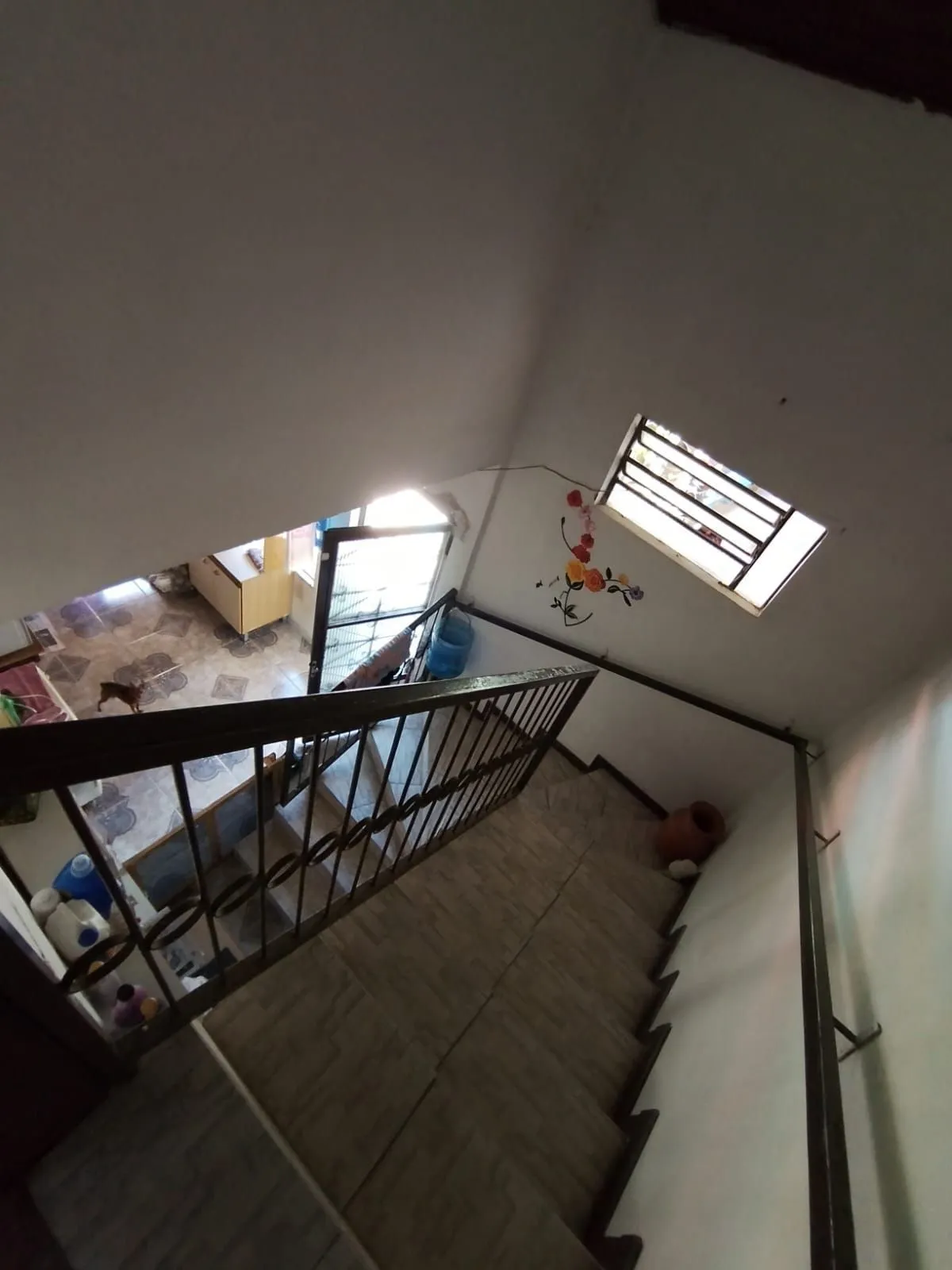 Imagem Casa em Tristeza