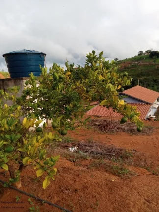 Imagem CHACARA RURAL em CALDAS - MG, Zona Rural