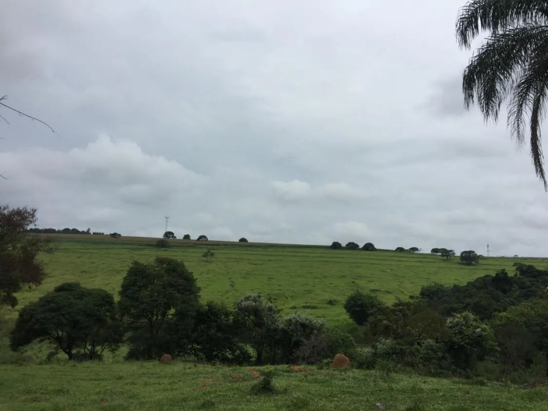 Imagem Vendo uma magnífica fazenda em Santo Antônio do Amparo/MG 318 hectares