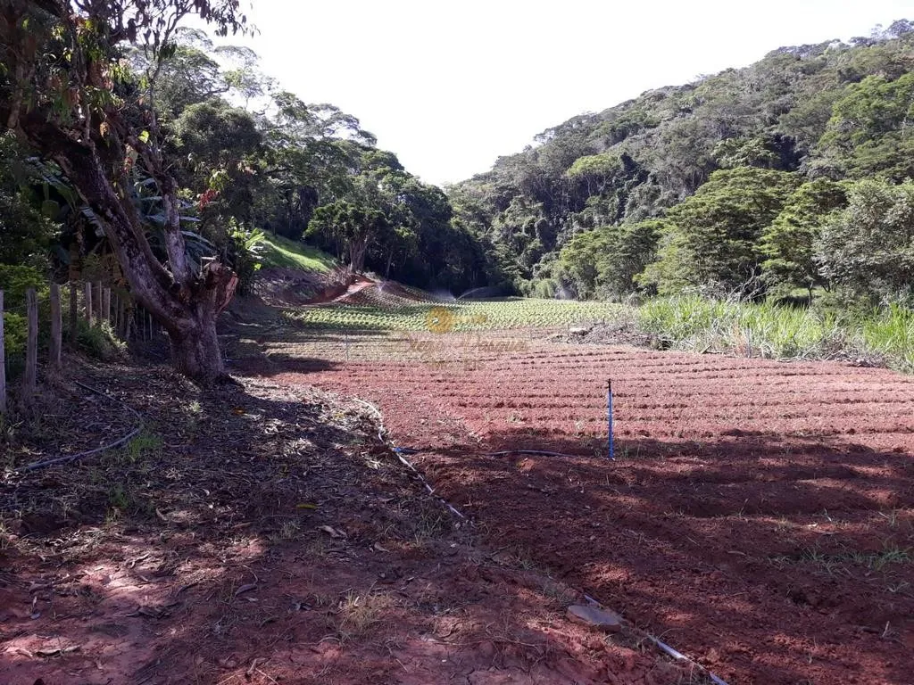 Imagem Sítio para Venda em Sapucaia / RJ no bairro Nossa Senhora da Aparecida