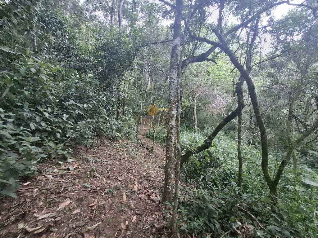 Imagem Terreno para Venda em Teresópolis / RJ no bairro Córrego das Pedras