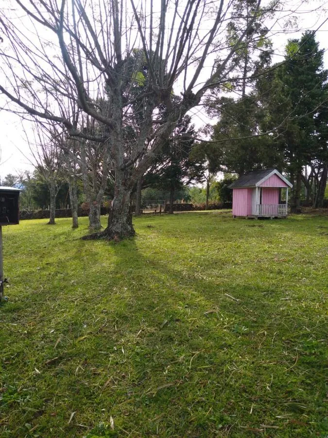 Imagem Chácara para Venda em Gramado / RS no bairro Várzea Grande Linha Carara