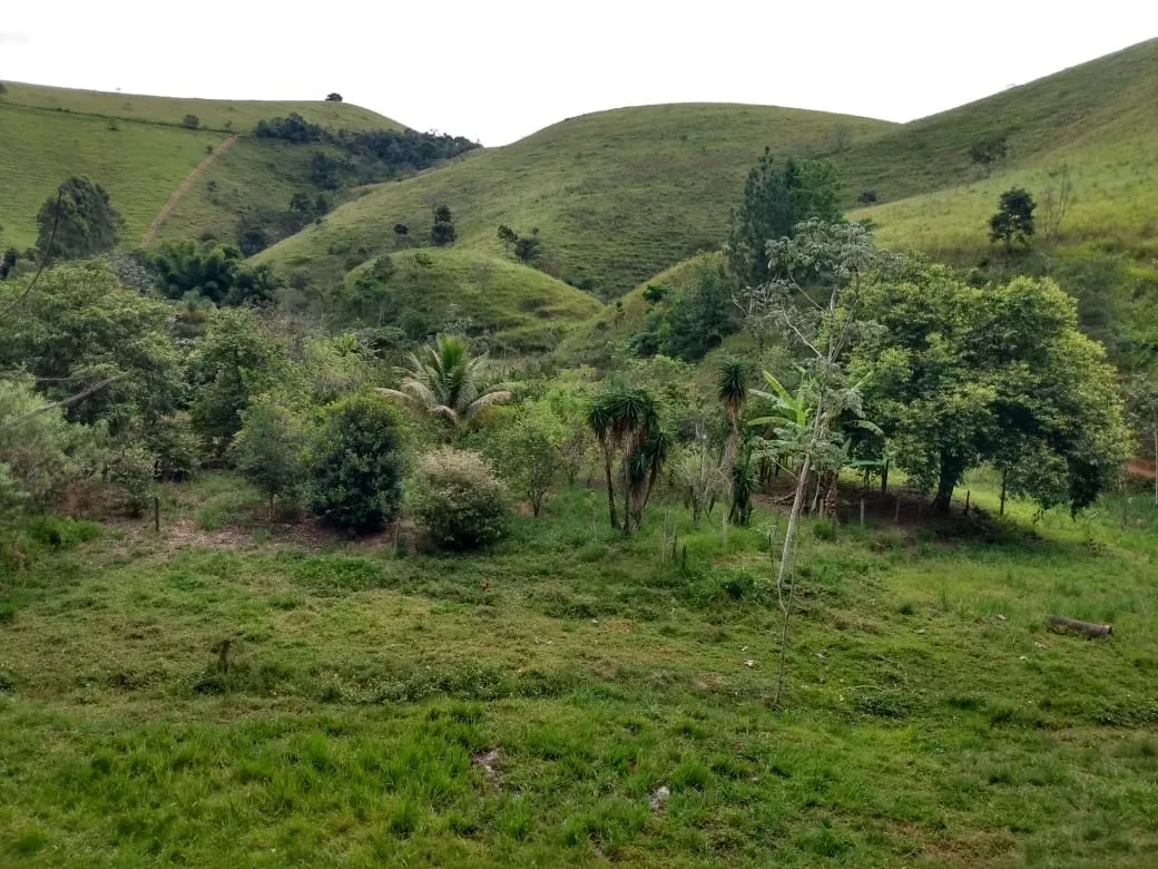 Imagem Chácara à venda 2 Quartos, 135000M², Zona Rural, Piquete - SP
