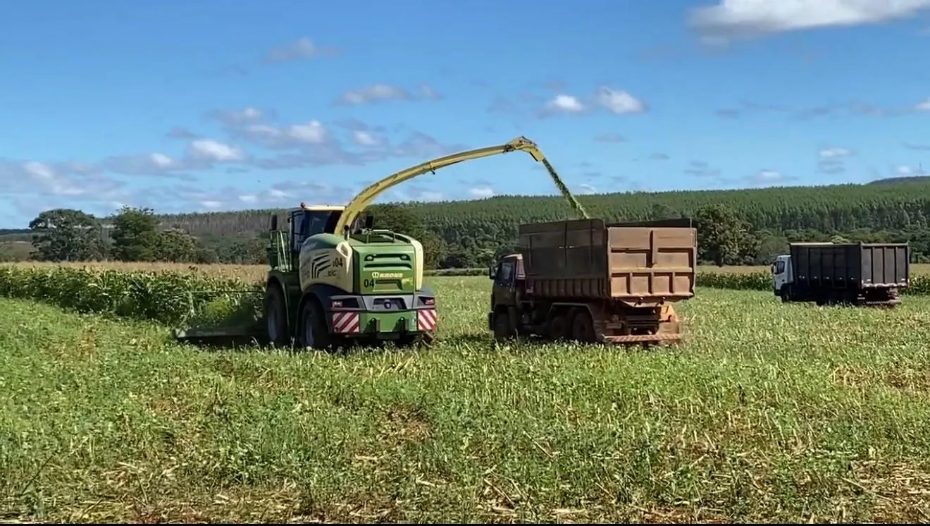 Imagem FAZENDA À VENDA EM FELIXLÂNDIA/MG | 105 HECTARES