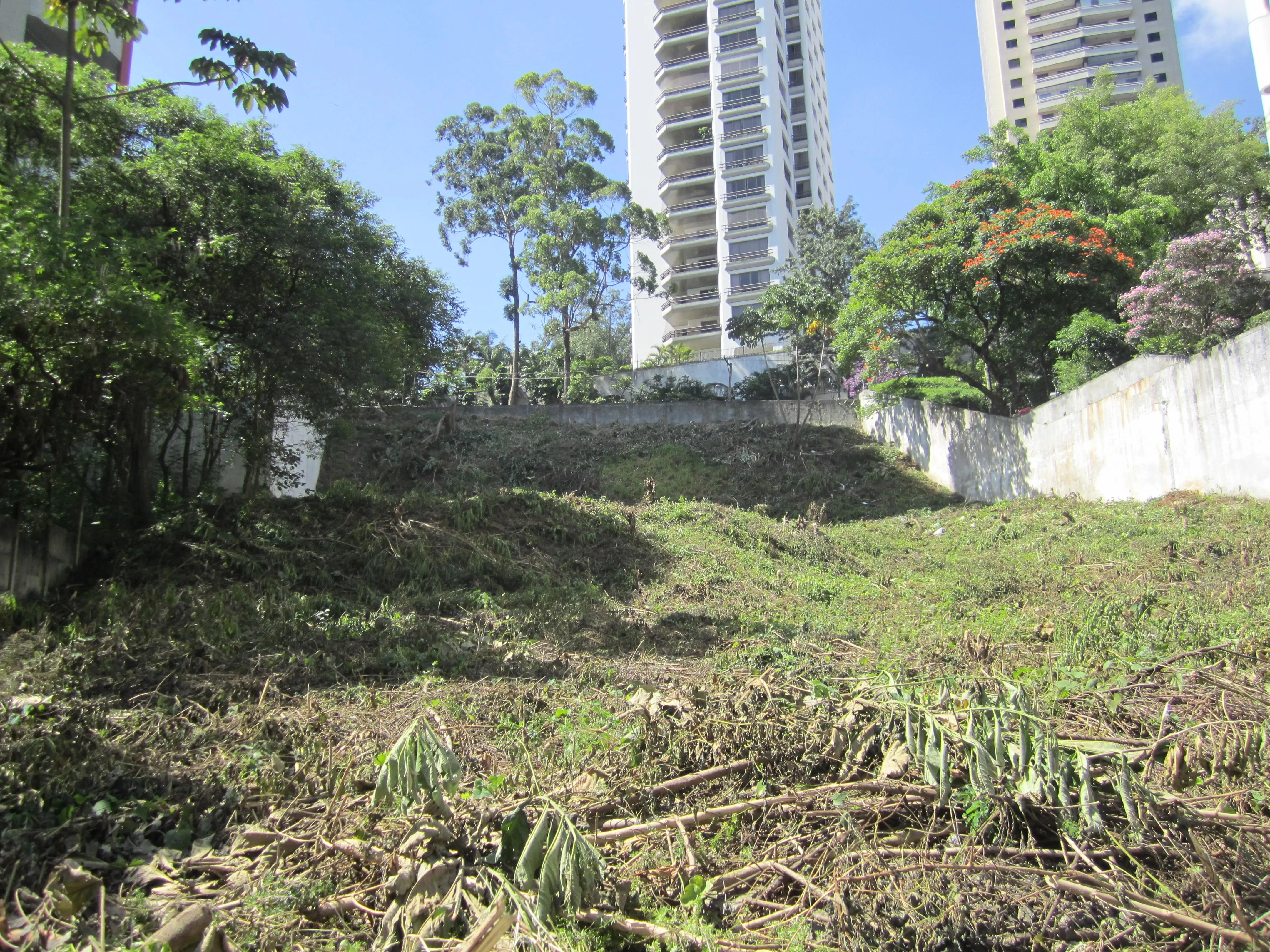 Foto do imóvel Venda de Lote de 2489m² Localizado em Vila Suzana em SP em MORUMBI, SÃO PAULO - SP