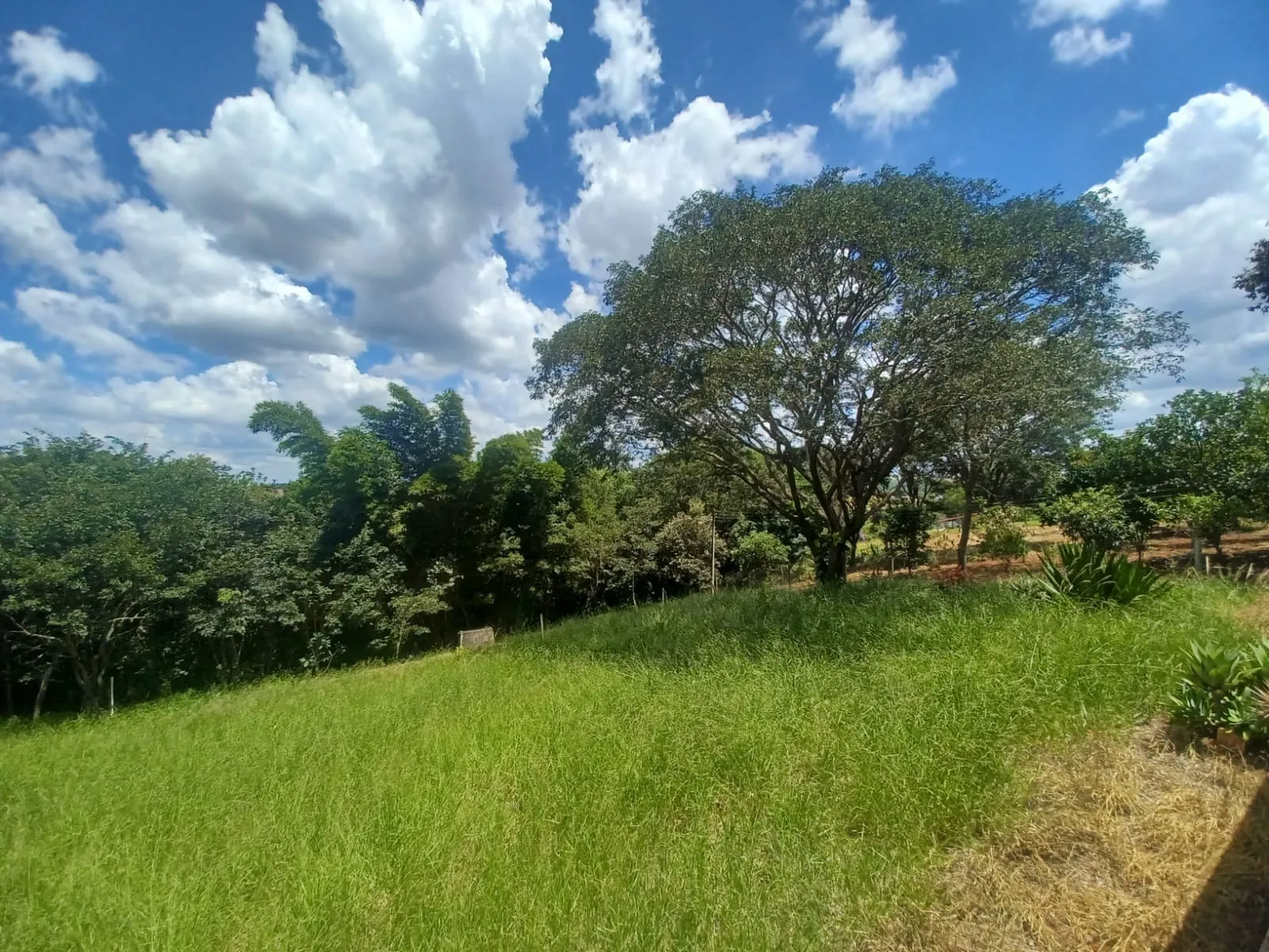 Imagem Chácara à Venda em Paranapanema com 120m², Pomar Variado e Rio nos Fundos