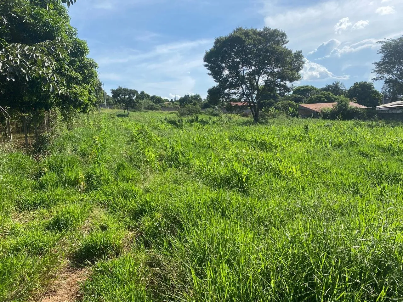 Imagem Chácara à venda 4000M², Goiabal, Pindamonhangaba - SP