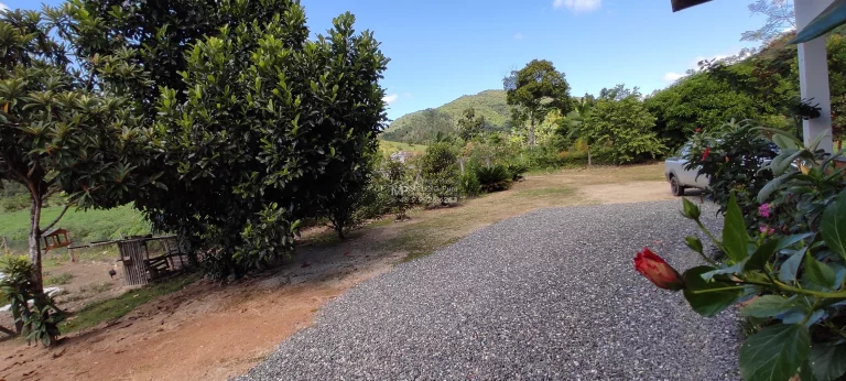 Imagem Sítio a venda, Com casa e lagoa de peixes, e riacho atravessado o terreno a 300 metros da SC 108. Boa área de 4.000m² de plantio com terra boa,