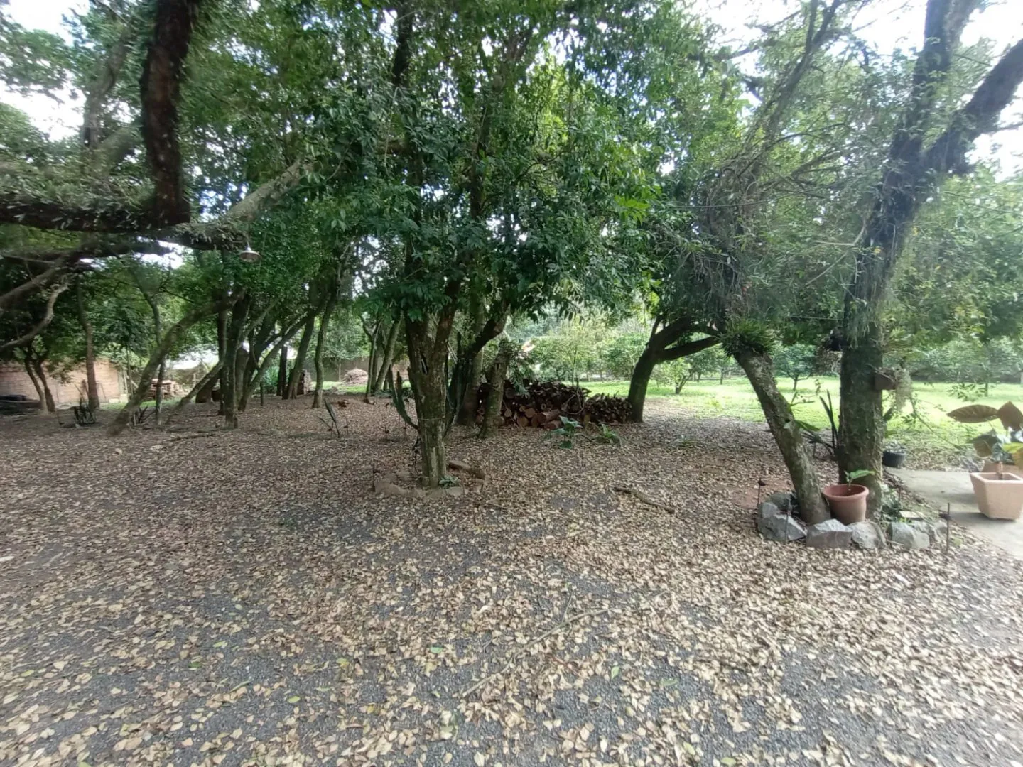Imagem Sobrado 138m² à Venda no Tarumã em Viamão