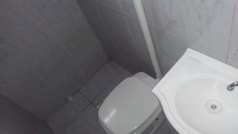 Imagem Belo Sítio com 2.160m² – Frente para o Asfalto – Águas Claras, Viamão/RS.