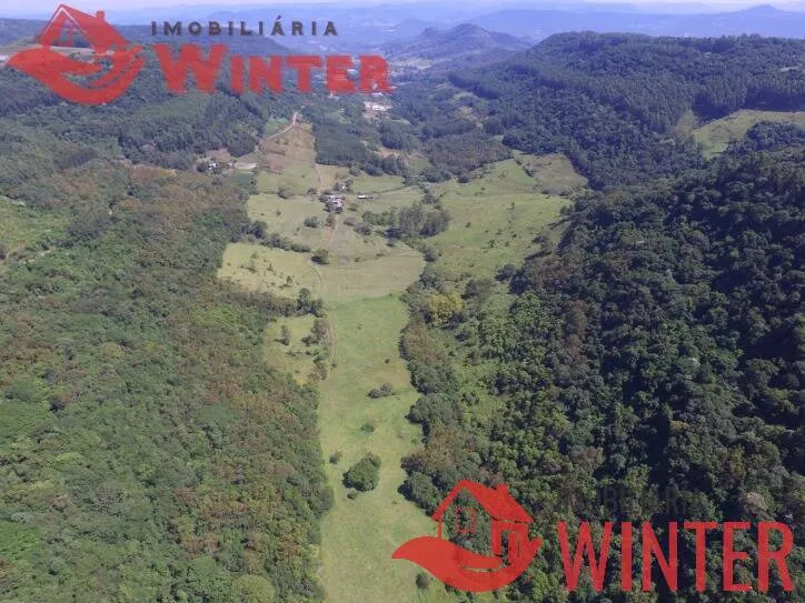 Imagem Fazenda de 61 hectares na cidade de Linha Nova.