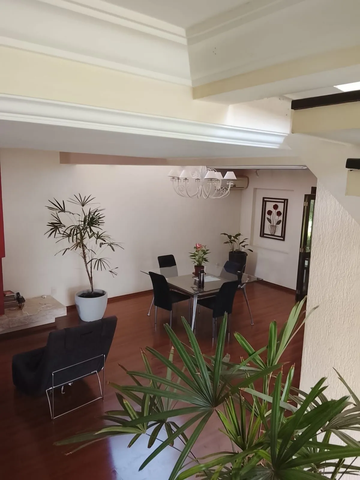 Imagem CASA / SOBRADO 5D e 10 vagas 3 Banheiros - Pátio enorme c/ Jacuzi e Pergolado - Living 3 ambientes - Sta Teresa