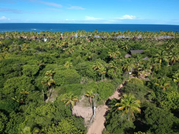 Foto do imóvel ÁREA EXCLUSIVA NA MÍSTICA PRAIA DE ALGODÕES
