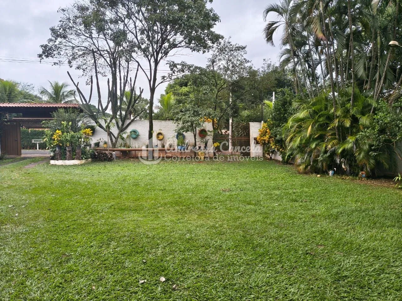 Imagem Recanto de Alá - Chácara com 5 dormitórios à venda, 5000 m² por R$ 1.600.000 - Recanto De Alá - Mirassol/SP