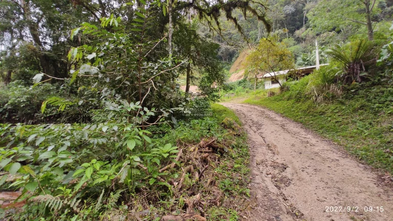 Imagem Sítio a VENDA, com várias lindas cachoeiras, a 4Km da SC 108, de fácil acesso. Lugar Maravilhoso em meio a natureza! Propriedade ótima para investime