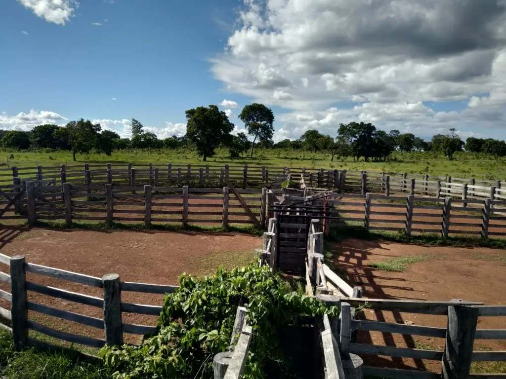 Imagem Fazenda de Rio Negro Mato Grosso do Sul-MS, Farms for sale in Brazil, farms in Brazil, Brazil farms