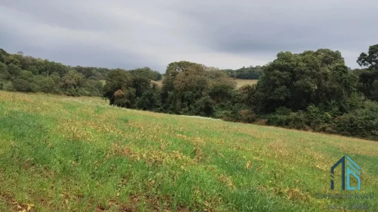 Imagem Sitio a venda, 375,100 mil m² (15.5 alqueires), aproximado 7 alqueires de plantio restante reserva e pasto, em Condói PR