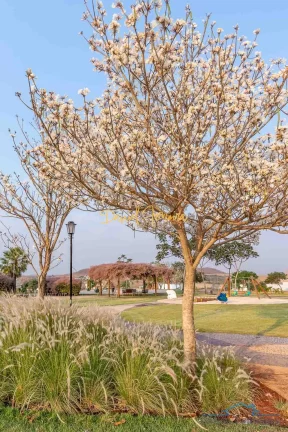 Imagem Lote à venda no Condomínio Alphaville Brasília - Residencial 2