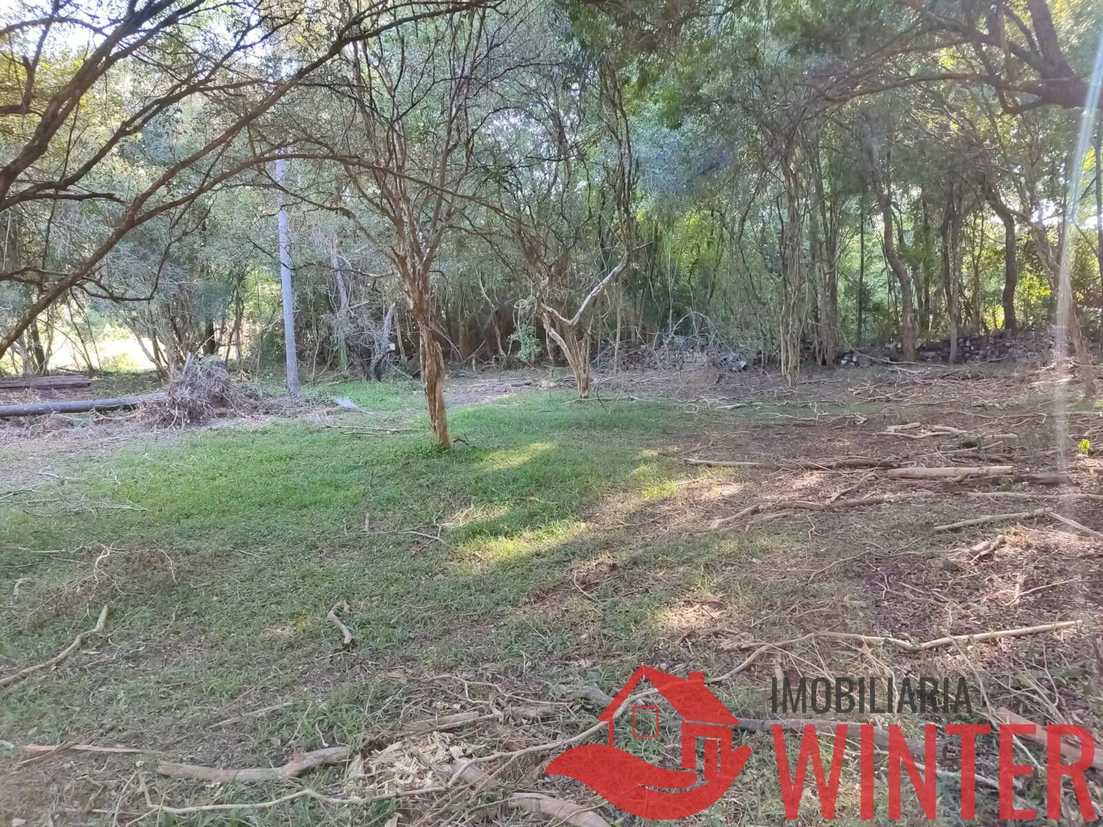 Imagem Área de terras plana com 4.800,00m² em Morro São Pedro, Bom Princípio.