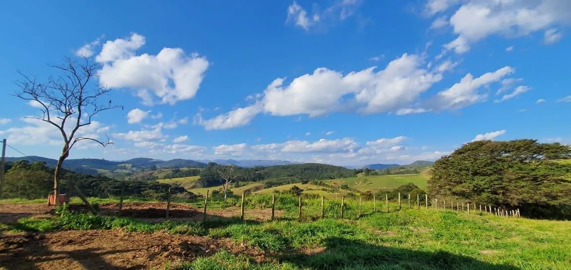 Imagem FAZENDA À VENDA - JECEABA (MG) 25 hectares de terra