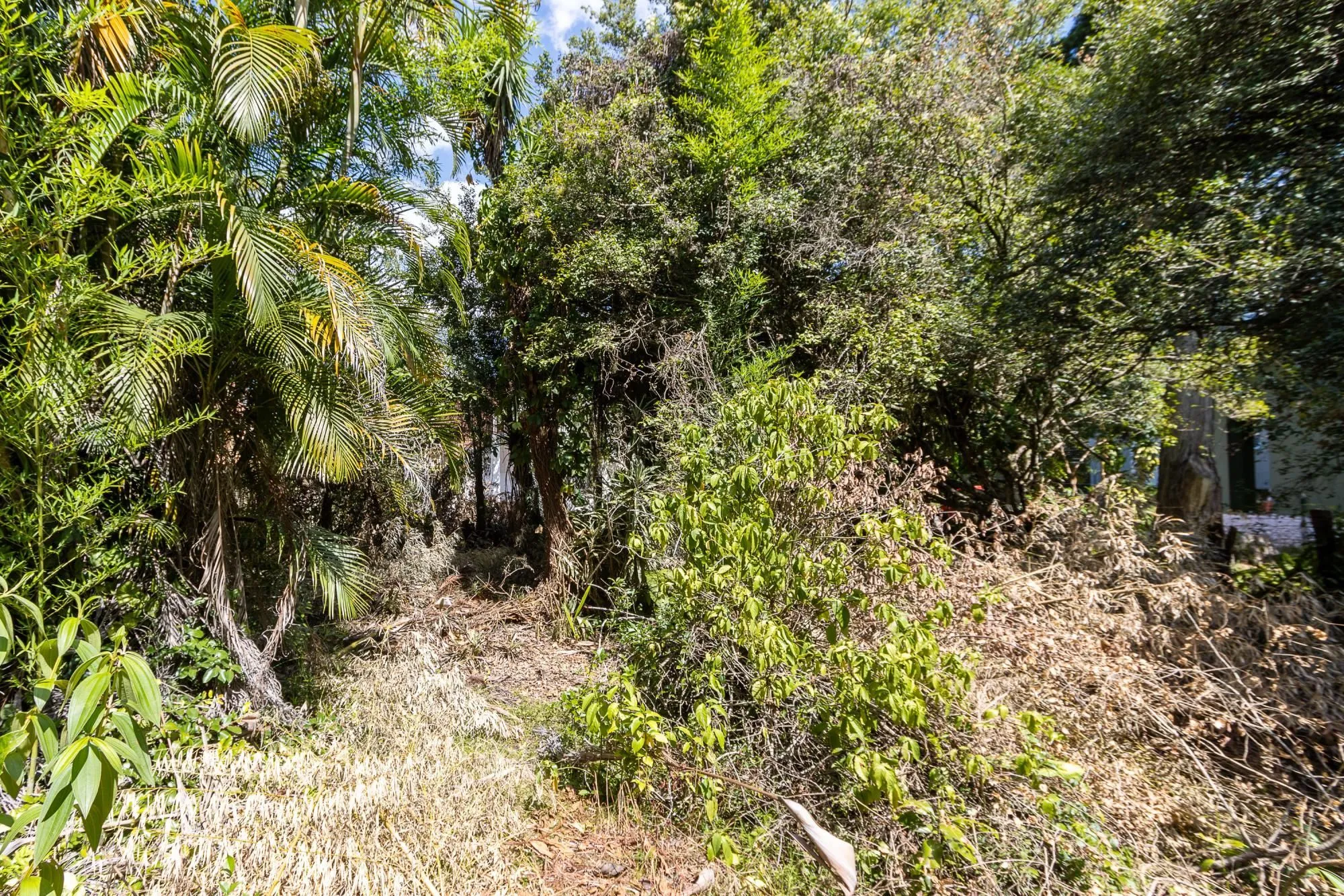 Imagem Terreno bairro Ipanema