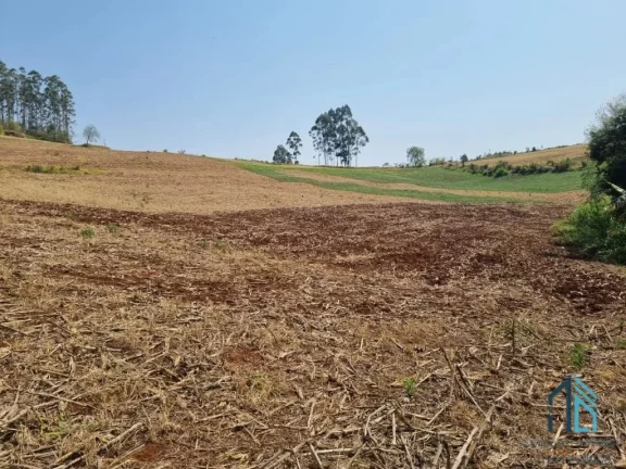 Imagem Sítio com 121.000 mil m² a venda, com Infra estrutura, no IRETEMA /Campo Mourão PR