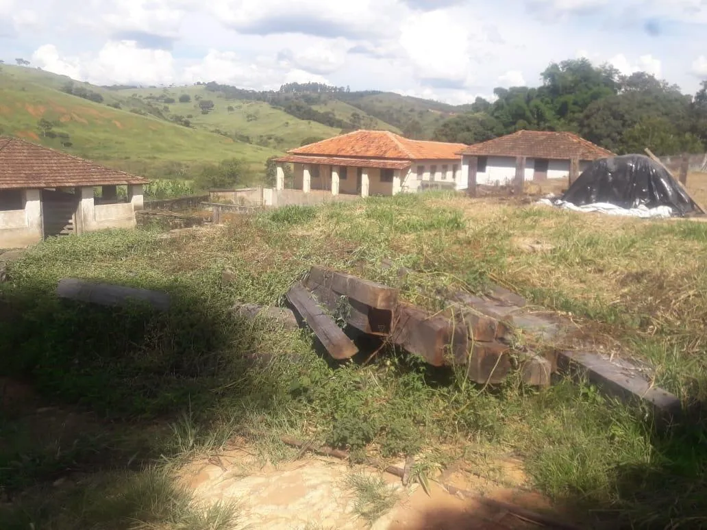 Imagem Vendo uma ótima fazenda em Passatempo 315 hectares