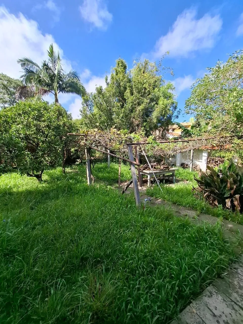 Imagem Casa no bairro ipanema 4 dormitórios