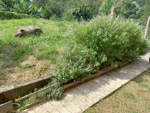 Imagem Chácara em Caucaia do Alto