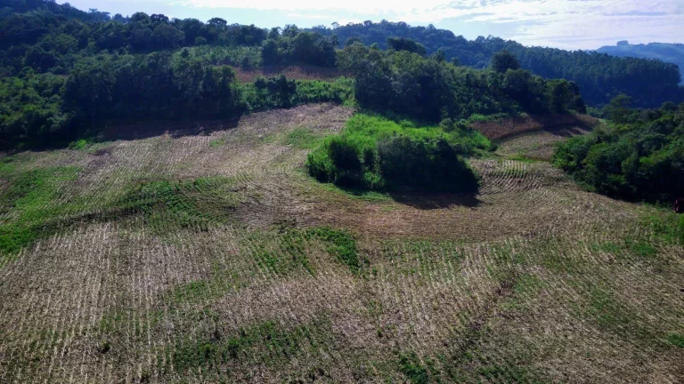 Foto do imóvel Área Agrícola para Venda em Concórdia, Barra do Pinhal em Sc-390