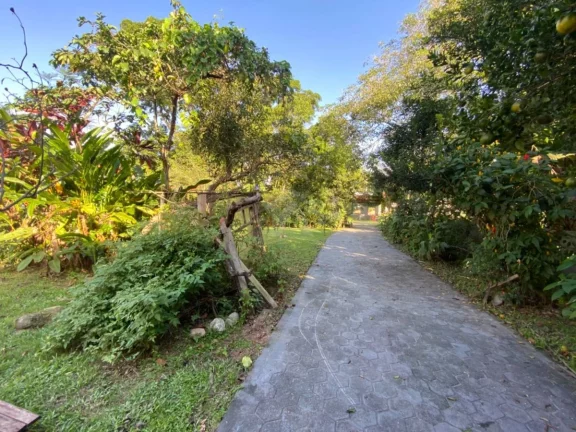 Imagem CASA COM AMPLO TERRENO, 3 QUARTOS, CENTRO