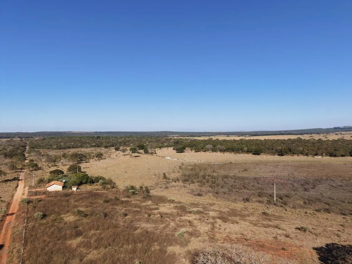 Imagem Fazenda à Venda em Papagaios/MG ? 150 Hectares