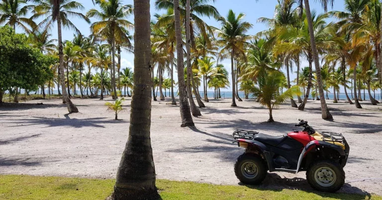Imagem Ilha Paradisíaca