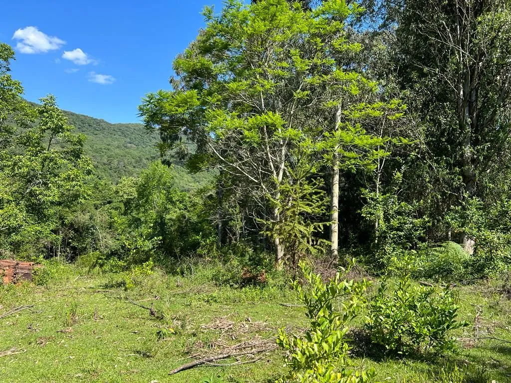 Imagem Chácara à venda em Gramado, Centro, 20000m2