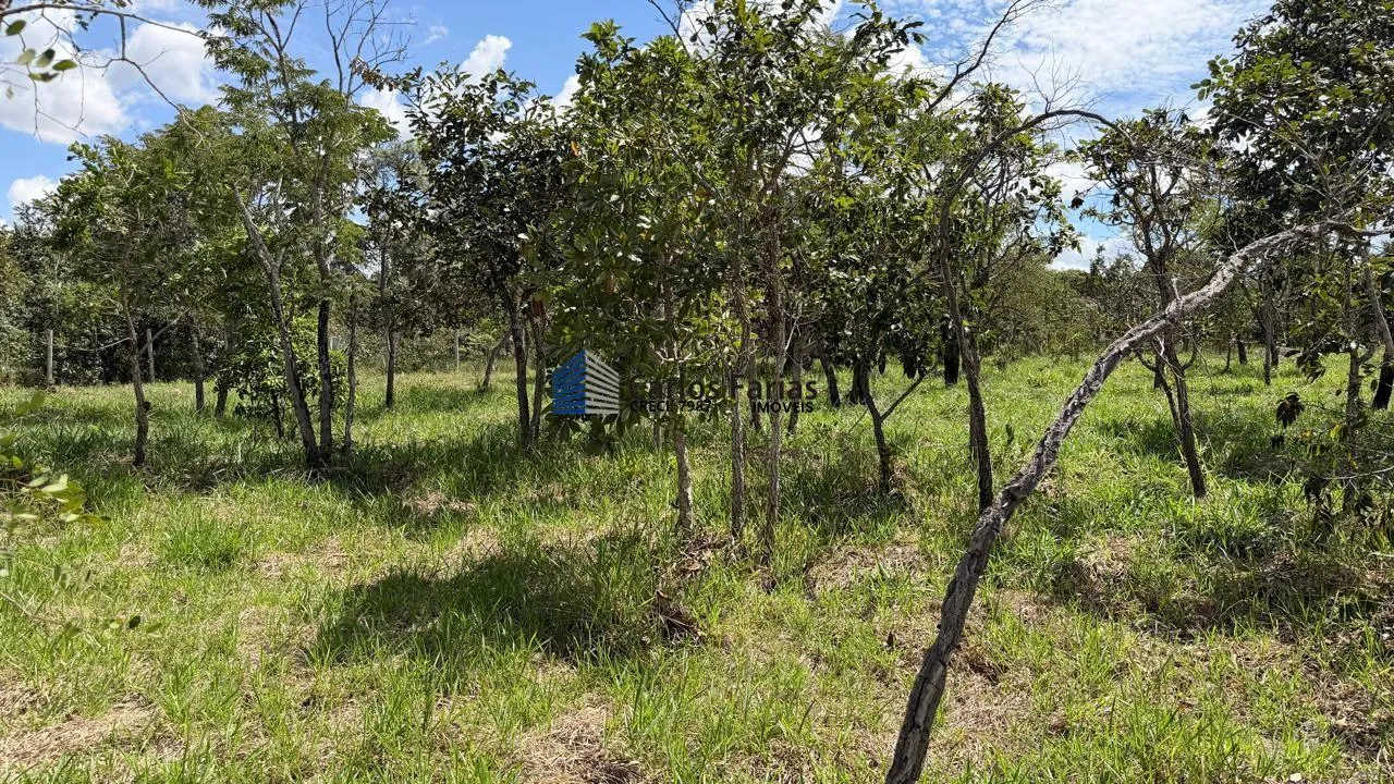 Imagem Chácara para Venda em Cidade Ocidental, Área Rural de Cidade Ocidental