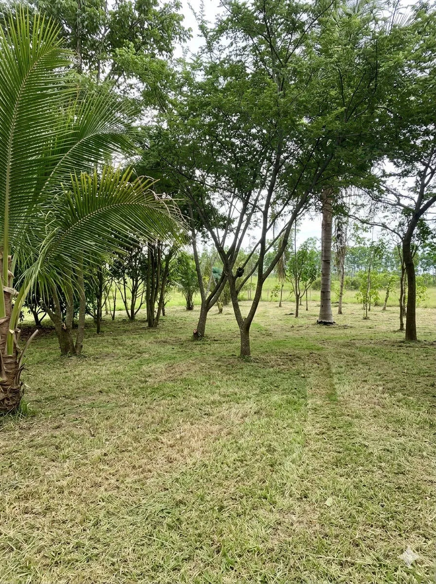Imagem Chácara com 1000 m² à venda em Porangaba.