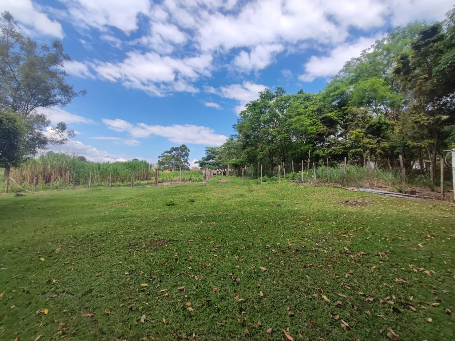 Imagem Chácara à venda 2 Quartos, 37000M², Figueira, Guaratinguetá - SP