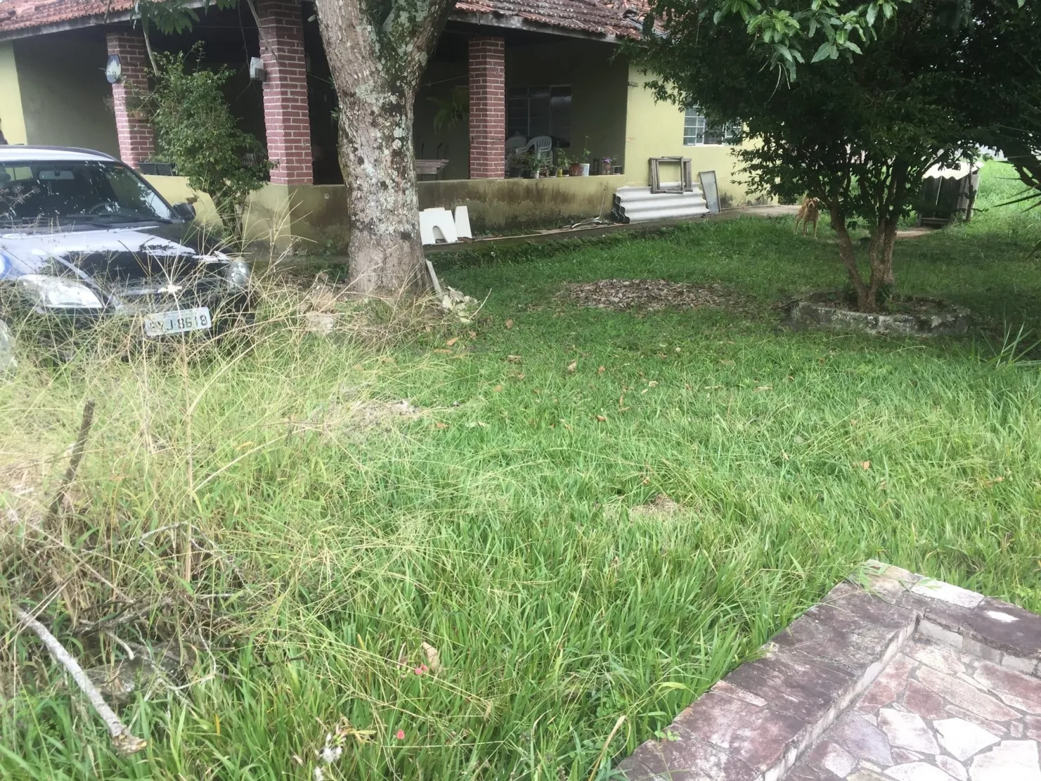 Imagem Chácara à venda 4 Quartos, 1 Suite, 4 Vagas, 3100M², Ribeirão Grande, Pindamonhangaba - SP