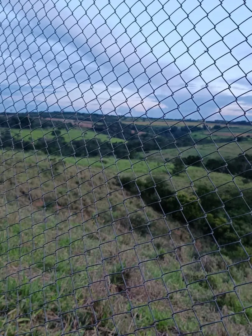 Imagem Chácara à venda, 20000 m² por R$ 430.000,00 - Área Rural de Patos de Minas - Patos de Minas/MG