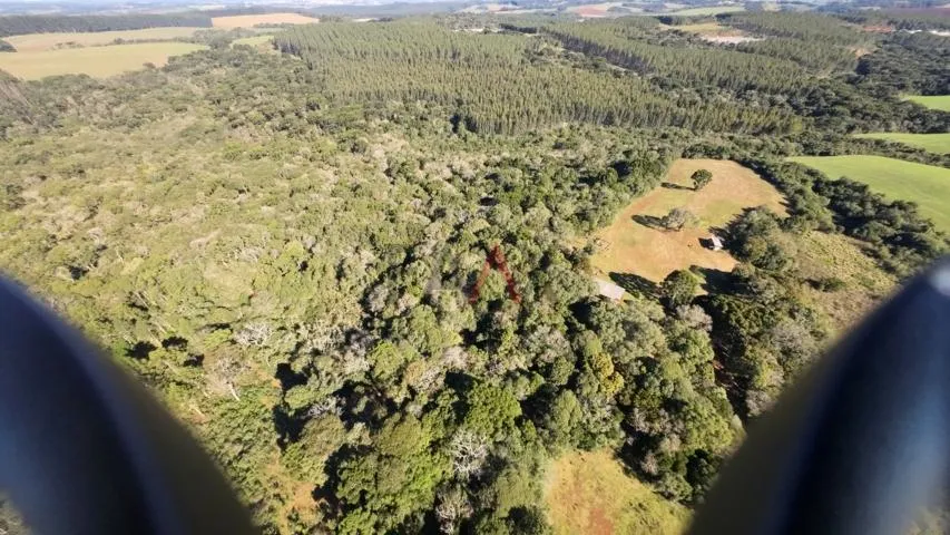 Imagem Sítio à venda com excelentes 24,62ha de área em Guarpuava PR