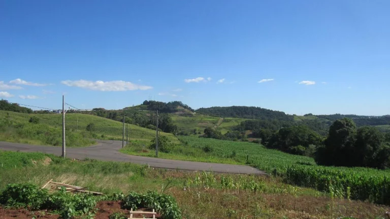 Imagem Terreno para Venda em Concórdia, Interior
