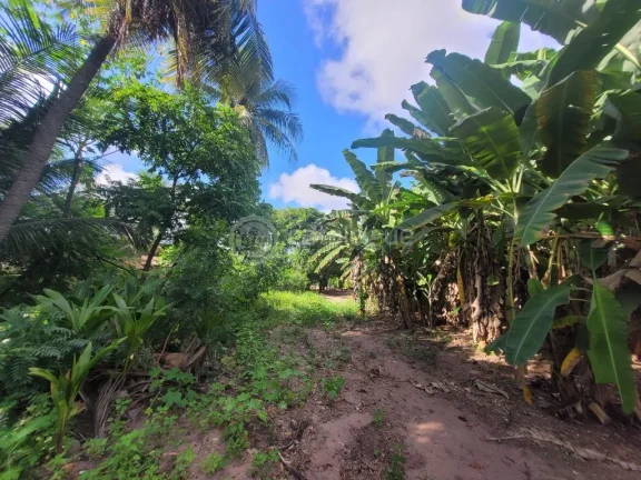 Imagem ÁREA COMERCIAL NA TOMAZ LANDIM