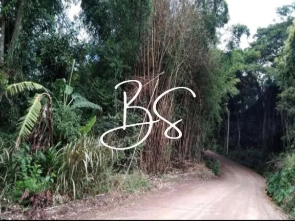 Imagem SITIO RURAL em IGREJINHA - RS, Lageadinho