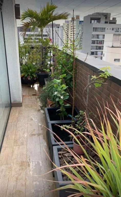 Imagem Apartamento à Venda em Bela Vista, São Paulo - SP
